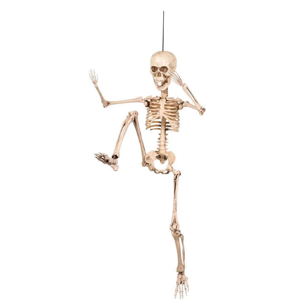 Deko-Skelett, 50 cm, hängend, beweglich - Halloween Figuren & Groß