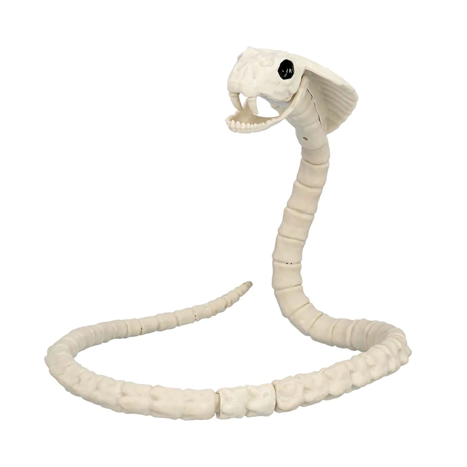 NEU Schlangenskelett, 102 x 10cm