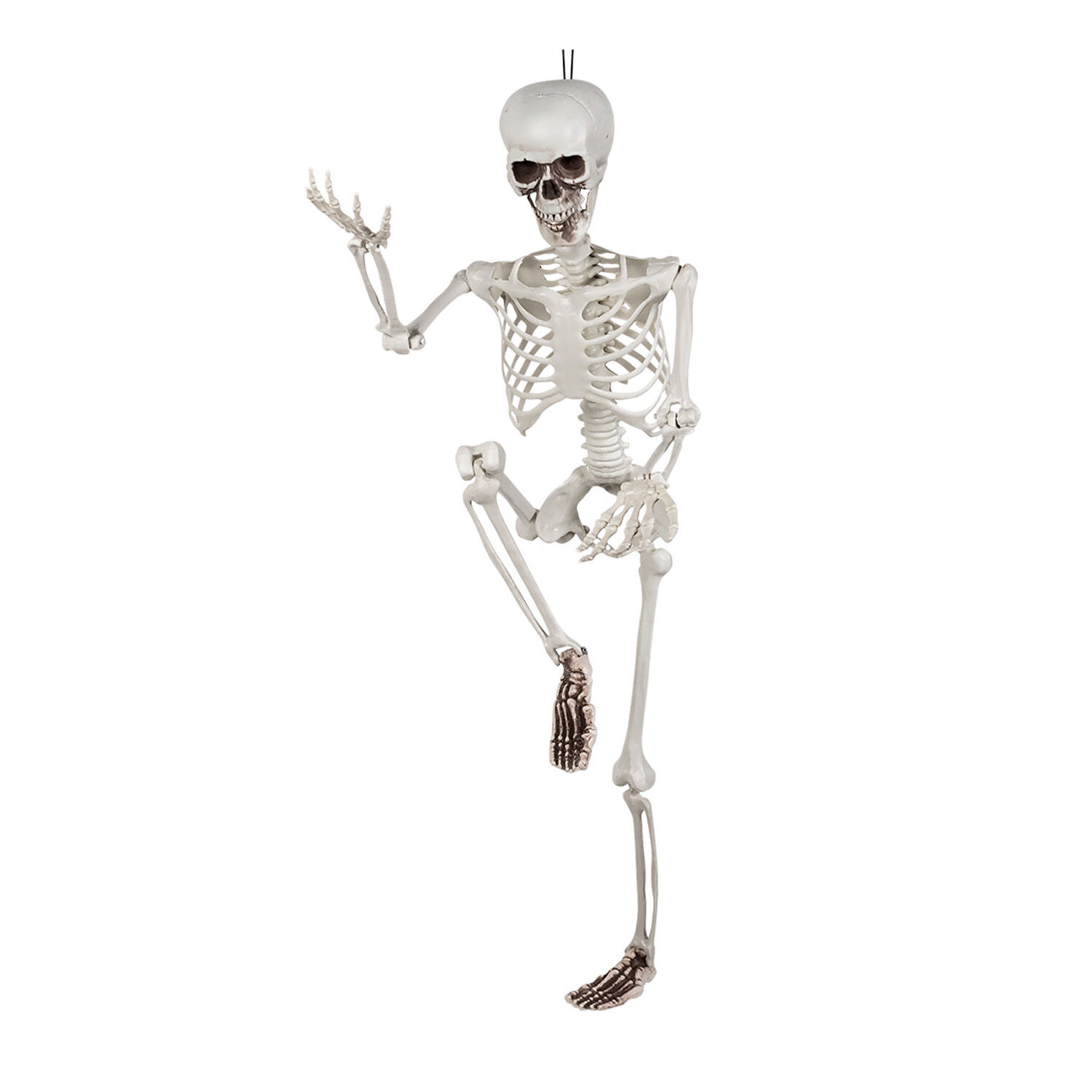 NEU Halloween-Deko Skelett, ca. 90cm, mit beweglichen Gliedern - Halloween  Figuren & Groß-Deko Halloween Produkte 