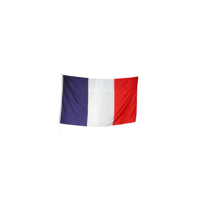 SALE Flagge am Stab Frankreich, 76 cm, Polyester - Partybedarf Europäische  Länder Motto-Party Produkte 