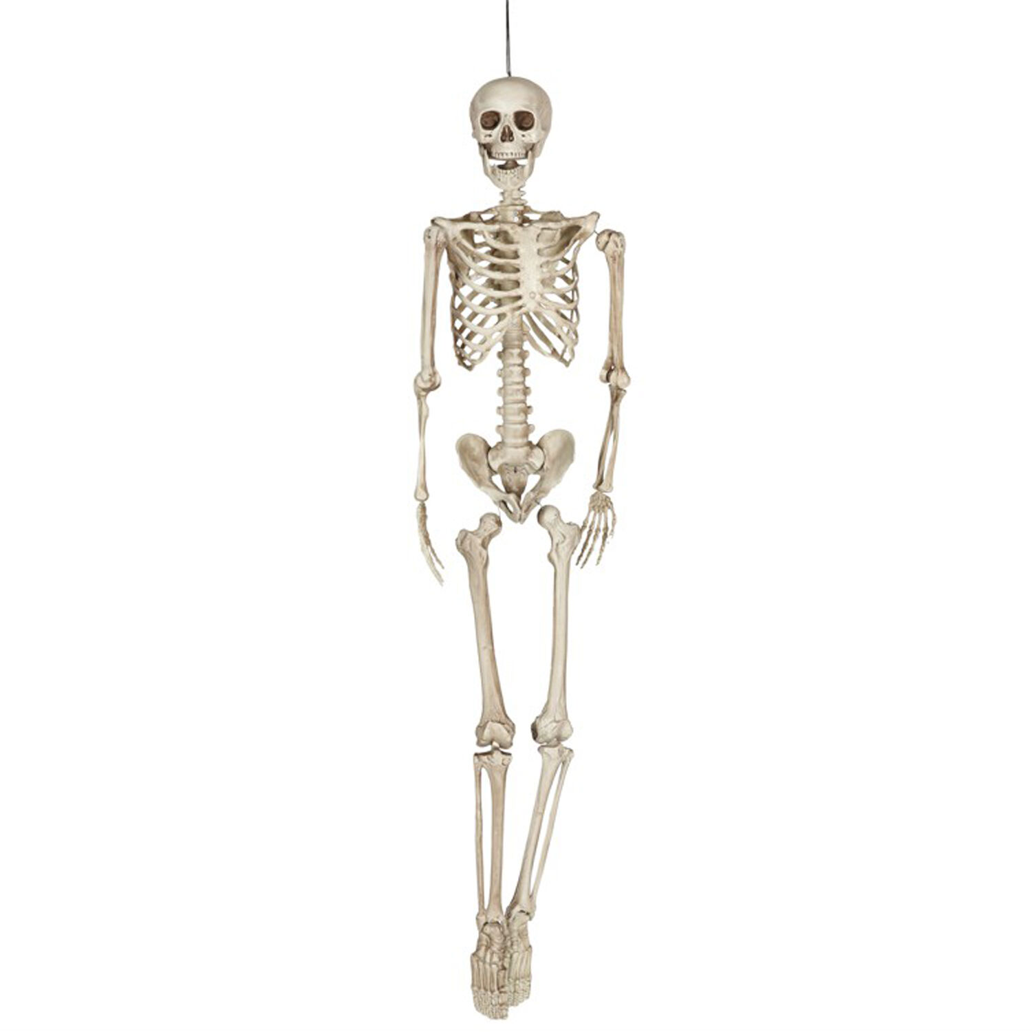 Halloween dreidimensionales Deko Skelett
